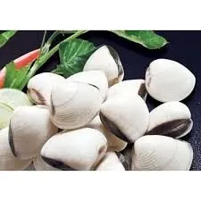 Almeja blanca bolsa 1 kg