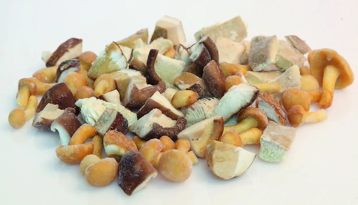 Surtido de setas con boletus bolsa 1 kg